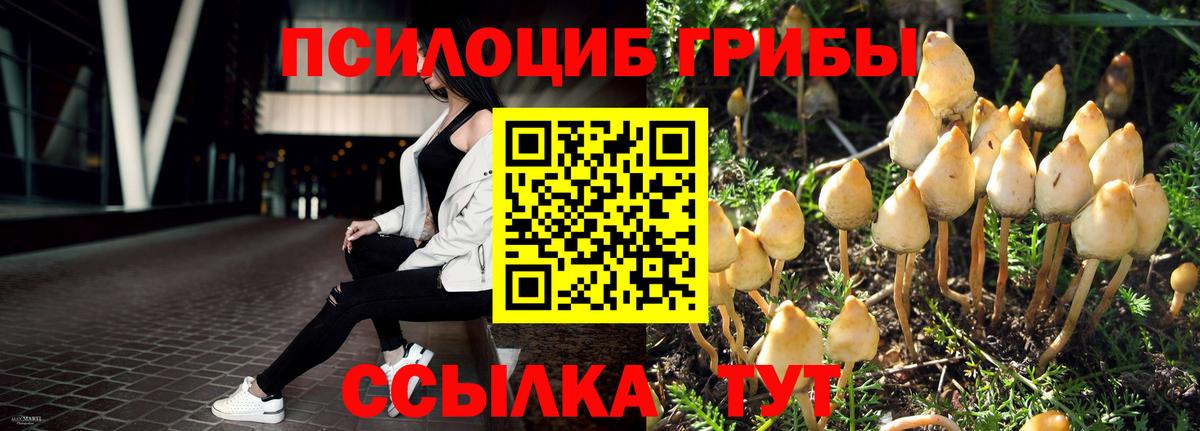 Галлюциногенные грибы Psilocybe  сколько стоит  Кириши  Вход с VPN 